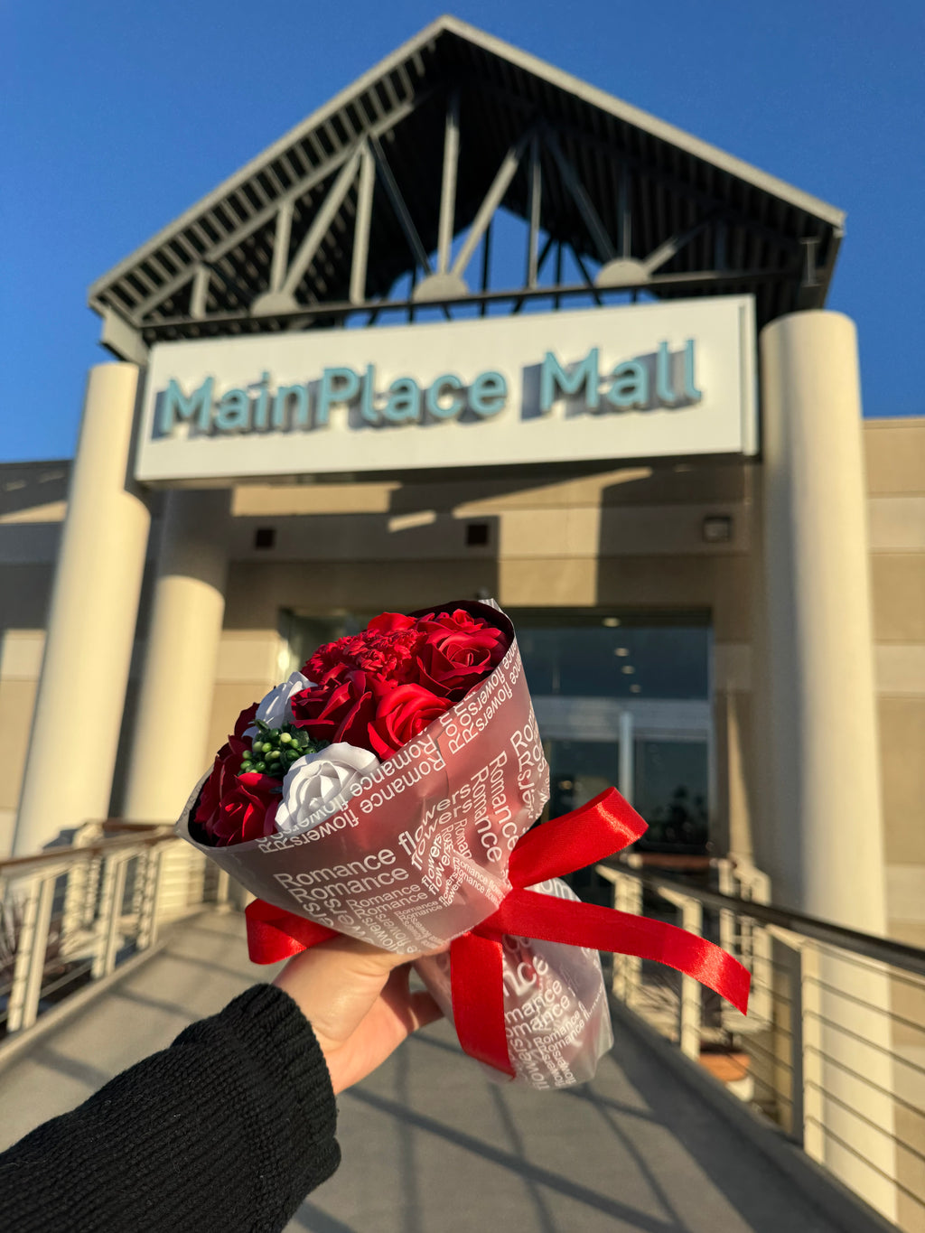 Amorcito rojo.❤️